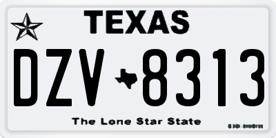 TX license plate DZV8313