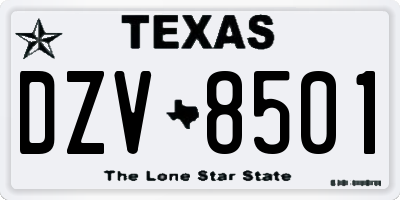 TX license plate DZV8501