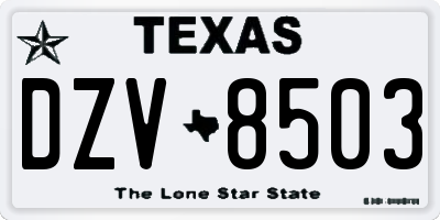 TX license plate DZV8503