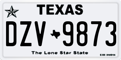 TX license plate DZV9873