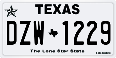TX license plate DZW1229