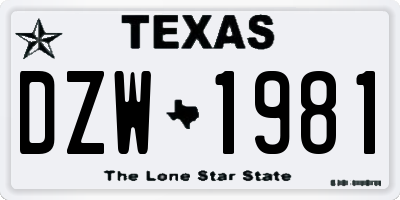 TX license plate DZW1981