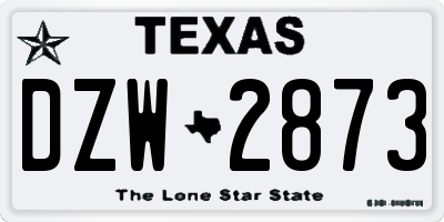 TX license plate DZW2873