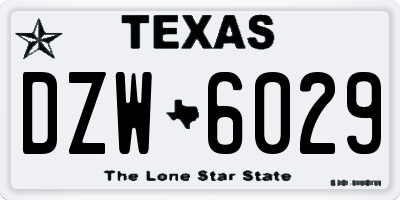 TX license plate DZW6029