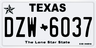 TX license plate DZW6037