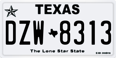 TX license plate DZW8313