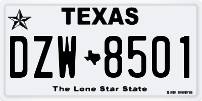 TX license plate DZW8501