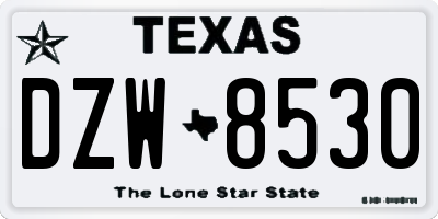 TX license plate DZW8530