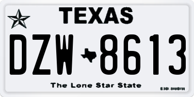 TX license plate DZW8613