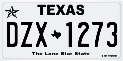 TX license plate DZX1273