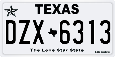 TX license plate DZX6313
