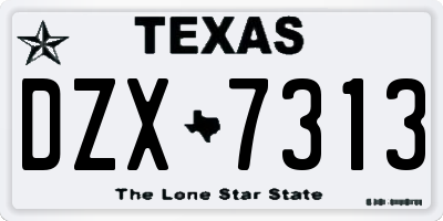 TX license plate DZX7313