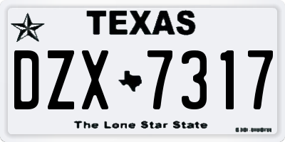 TX license plate DZX7317