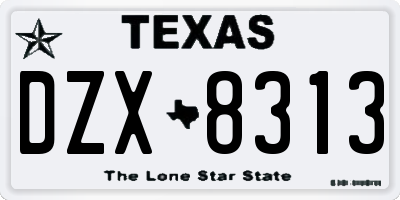 TX license plate DZX8313