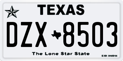 TX license plate DZX8503