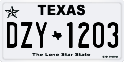 TX license plate DZY1203