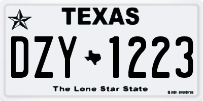 TX license plate DZY1223