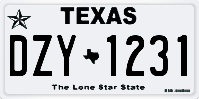 TX license plate DZY1231