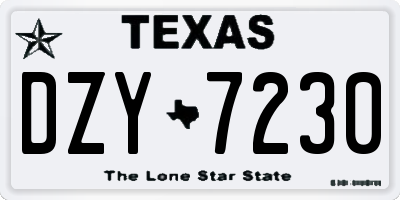 TX license plate DZY7230