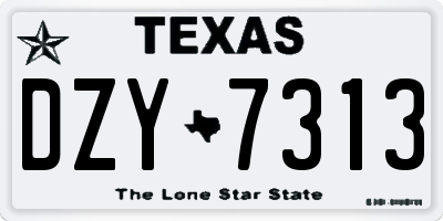 TX license plate DZY7313