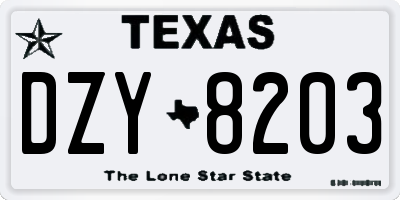 TX license plate DZY8203