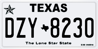 TX license plate DZY8230