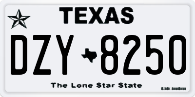 TX license plate DZY8250