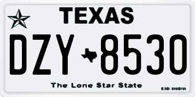 TX license plate DZY8530