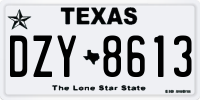 TX license plate DZY8613