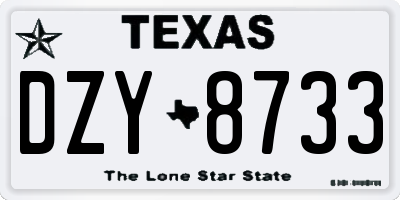 TX license plate DZY8733