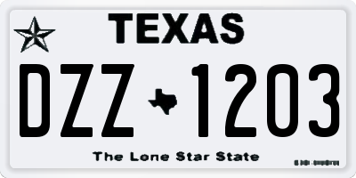 TX license plate DZZ1203