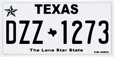 TX license plate DZZ1273