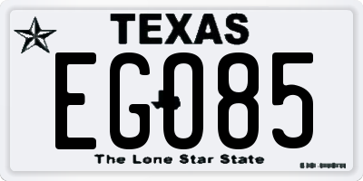 TX license plate EGO85