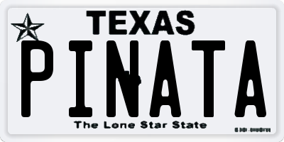 TX license plate PINATA