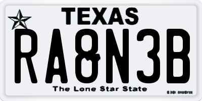 TX license plate RA8N3B