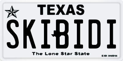 TX license plate SKIBIDI