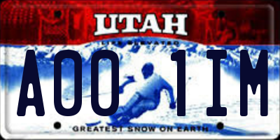 UT license plate A001IM