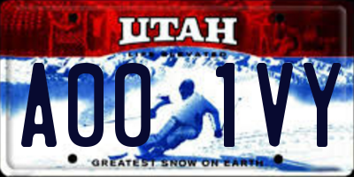 UT license plate A001VY