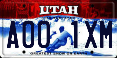 UT license plate A001XM