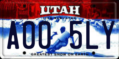 UT license plate A005LY