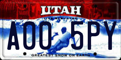 UT license plate A005PY