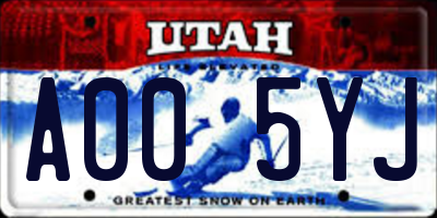 UT license plate A005YJ