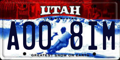 UT license plate A008IM