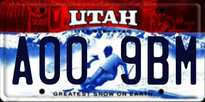 UT license plate A009BM