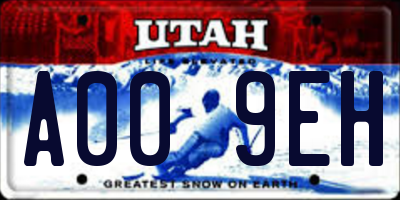 UT license plate A009EH