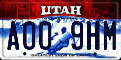 UT license plate A009HM