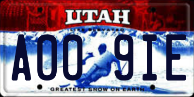 UT license plate A009IE