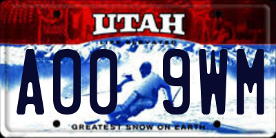 UT license plate A009WM