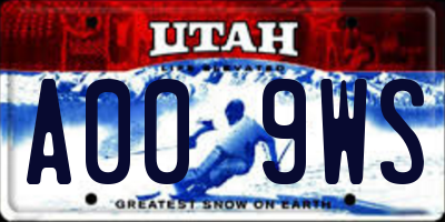 UT license plate A009WS