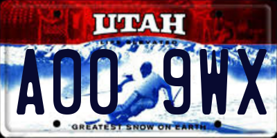 UT license plate A009WX